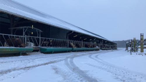 La ferme sous la neige