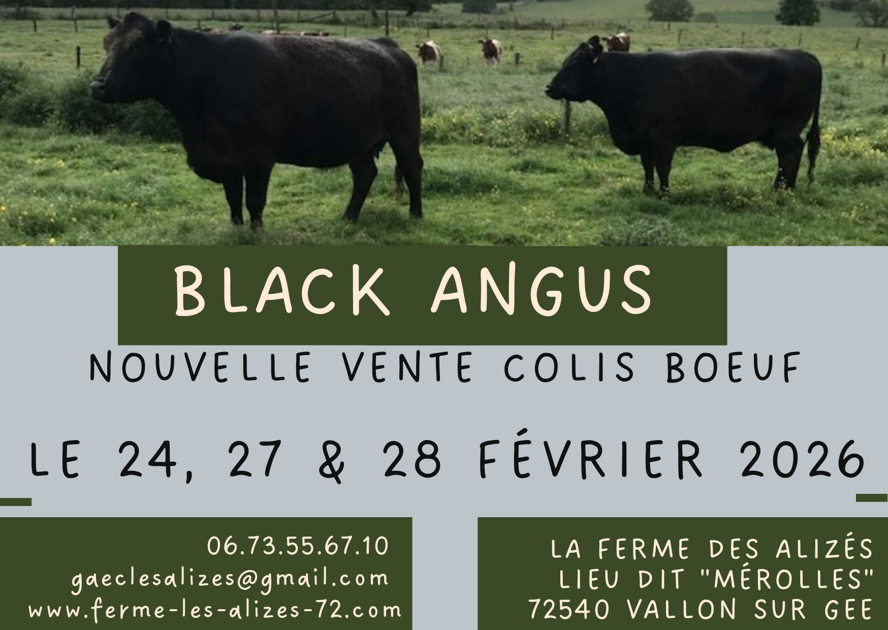 NOUVELLE VENTE COLIS BOEUF